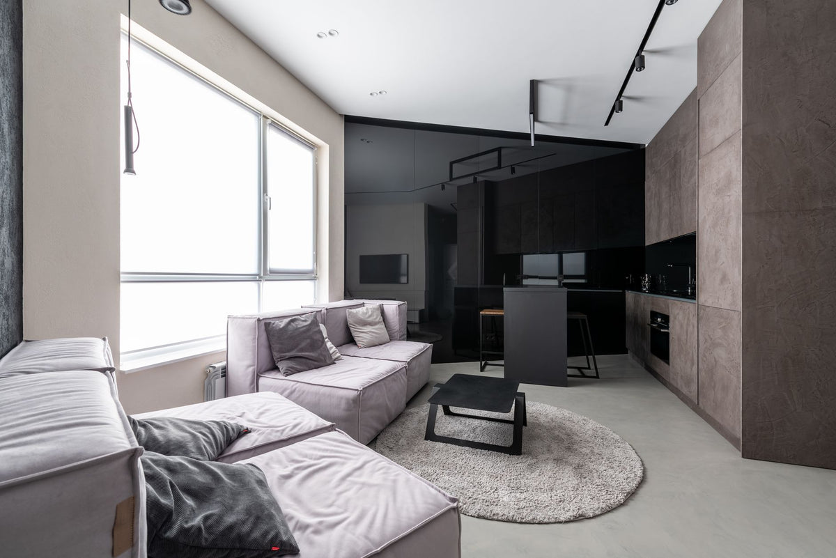 Interior design of stylish spacious living room furnished with comfortable sofas with cushions near kitchen zone in studio apartment