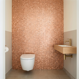 Pentagon 3D Zalm - wc sfeerbeeld