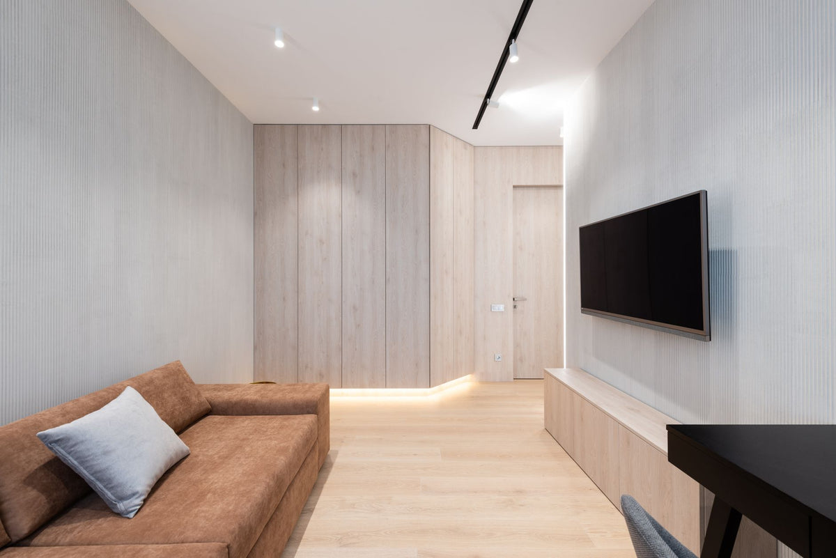 Interior of modern living room with sofa with pillow and TV on wall next to table