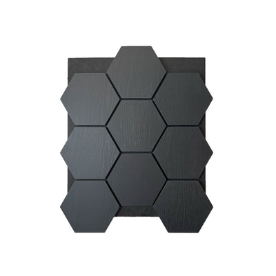 Sample hexagon wandpaneel zwart