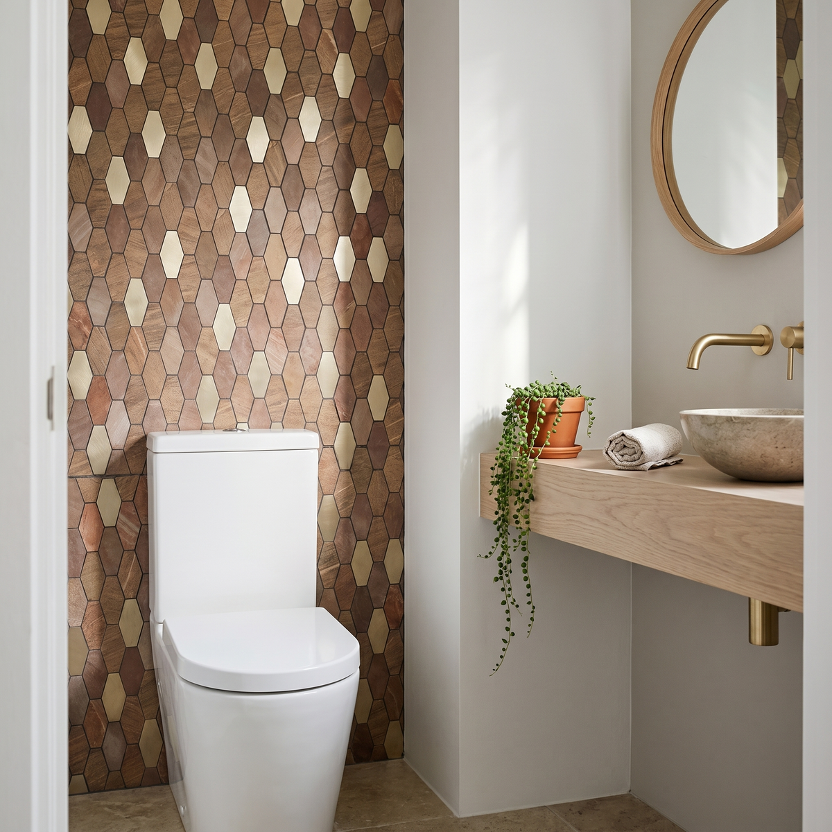 Picket Bruin - wc sfeerfoto